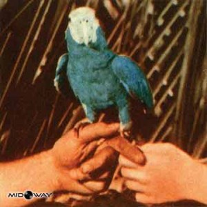 Andrew Bird | Are You Serious (Lp)
